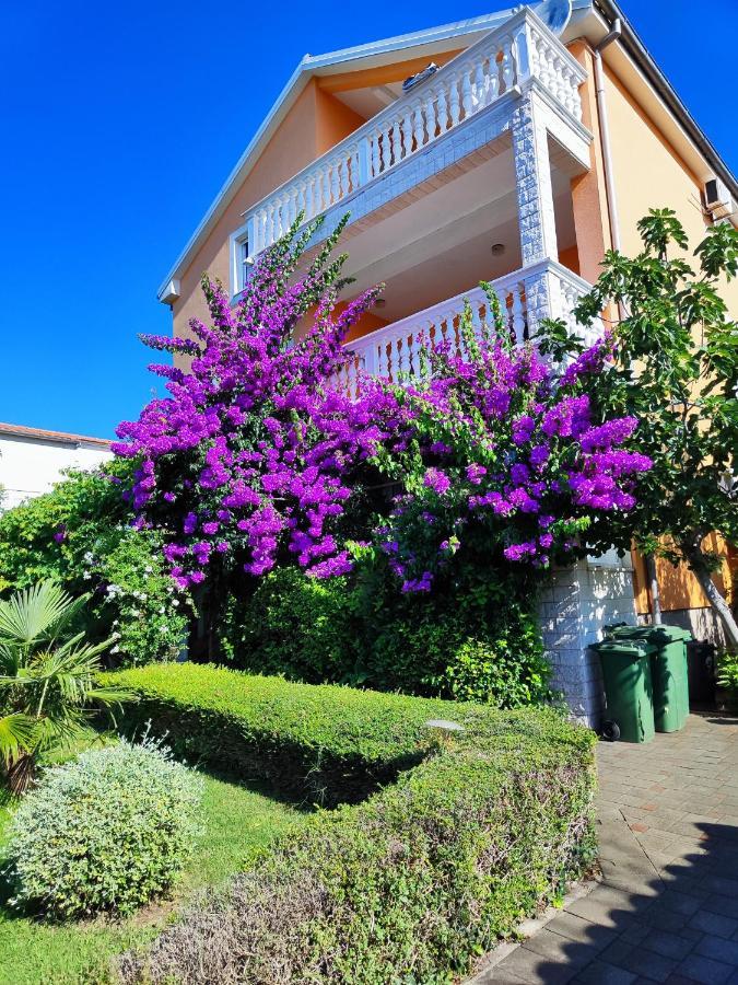 Apartmani Seka Vodice Exterior foto